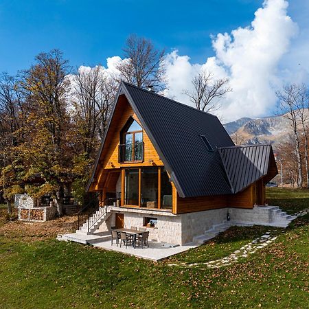Vila Sun Forest Žabljak Exteriér fotografie