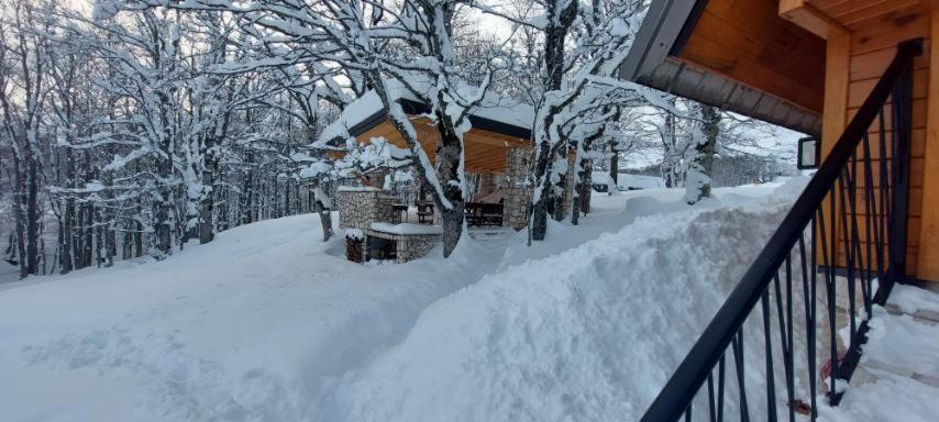 Vila Sun Forest Žabljak Exteriér fotografie