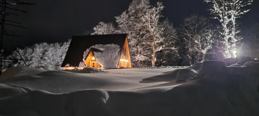 Vila Sun Forest Žabljak Exteriér fotografie