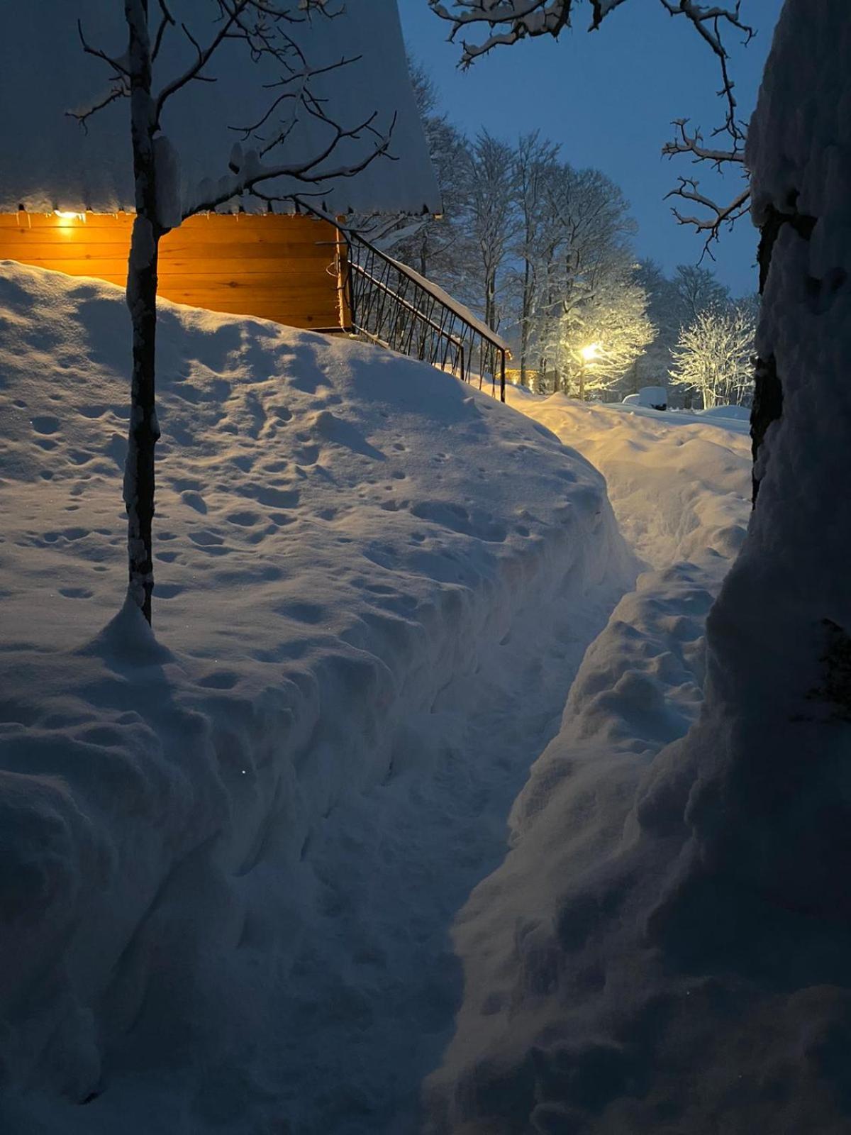 Vila Sun Forest Žabljak Exteriér fotografie