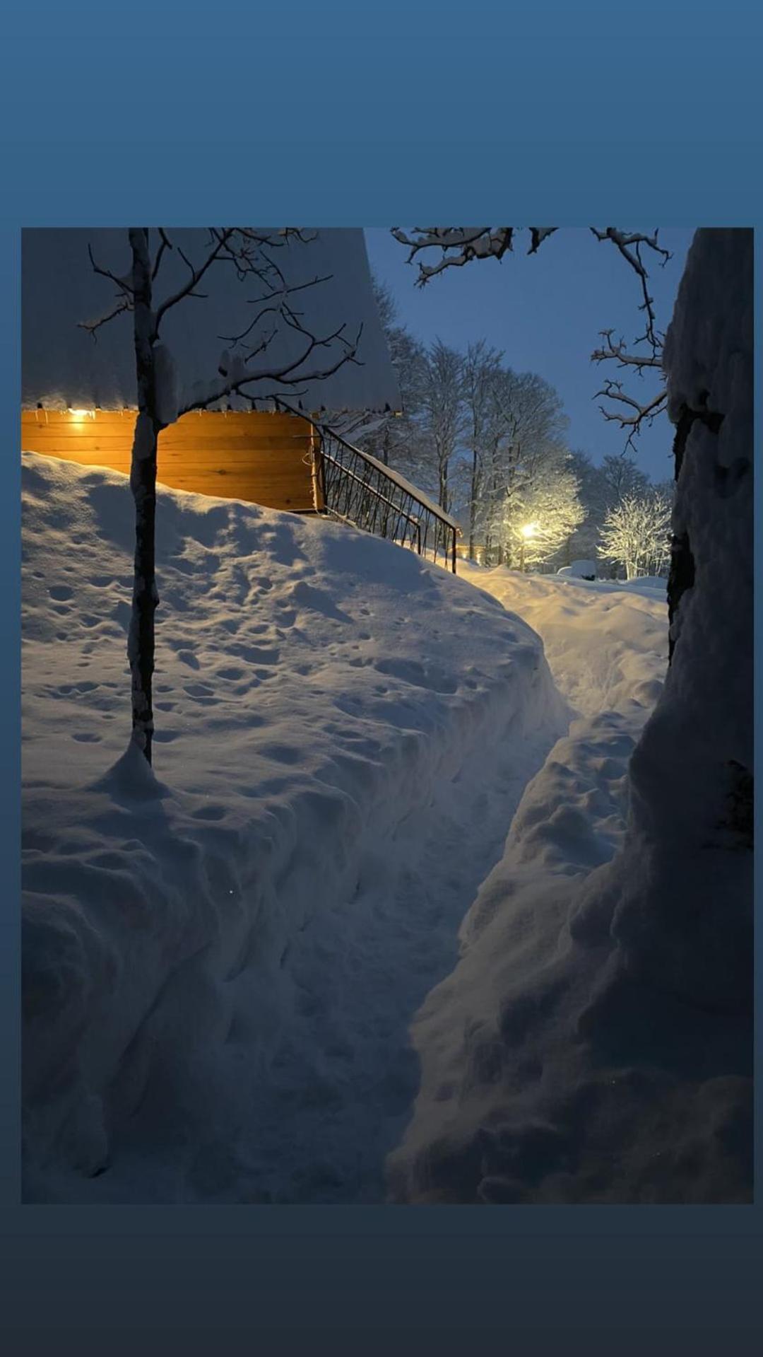 Vila Sun Forest Žabljak Exteriér fotografie