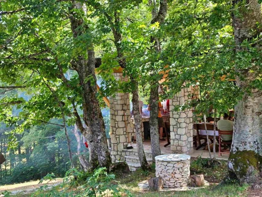 Vila Sun Forest Žabljak Exteriér fotografie